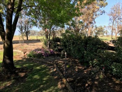 3935 Rangemore Road, Barham