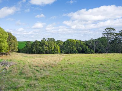 34 Elphinstones Road, Calder