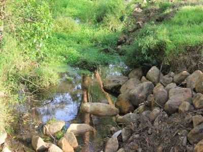 Lot 3 Lot 3 Cedar Springs Road, Kangaroo Valley