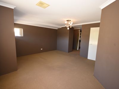 9 Astroloma Drive, Success