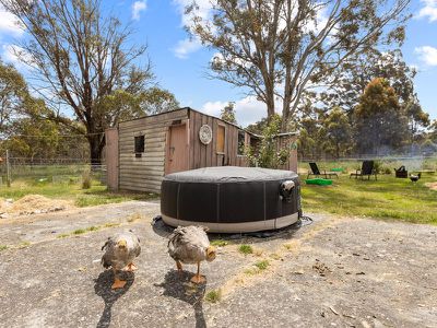 34 Schell Street, Rossarden