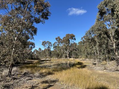 454 Cainbil Road, Coolah