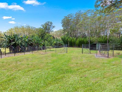 7 Jannali Court , Peachester