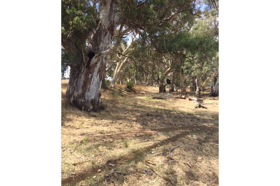 Angas Valley CE Property Group