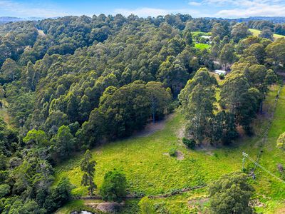 Lot 7, Ridge Road, Central Tilba