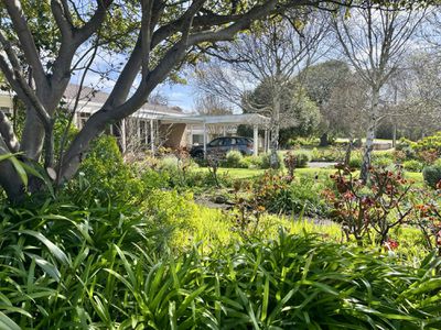 17 Adams Street, Donovans