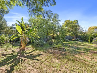 66 Murray Street, Finley