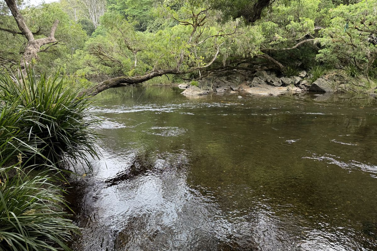 3461 Nowendoc Road, Caffreys Flat