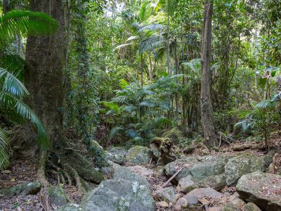 501 Mount Warning Road, Mount Warning