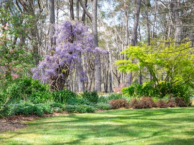 1261 Sheepwash Road, Fitzroy Falls