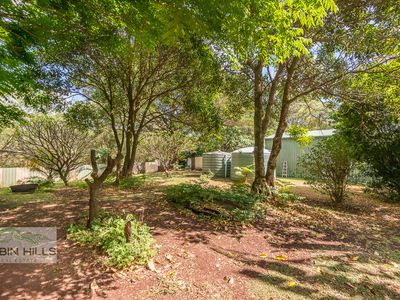 417 Davis Road, Jiggi