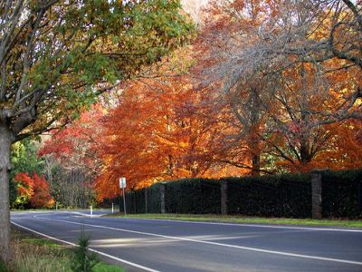 25 Pinchoff Lane, Mount Macedon
