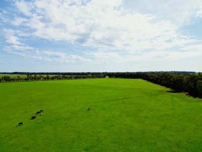 'Burnside' 1009 Howlong-Balldale Road, Balldale