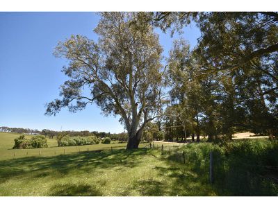 Lot 141 Watts Gully Road, Forreston