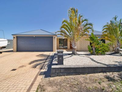 5 Diamondbird  , Baldivis