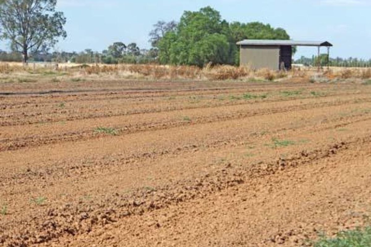 93 Dunbar Road, Kyabram