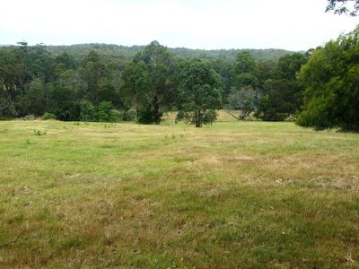 972 Mount Darragh Road, Lochiel