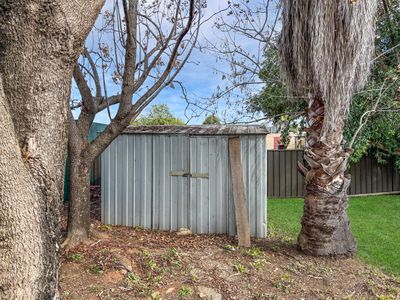 8 Pike Street, Gunnedah
