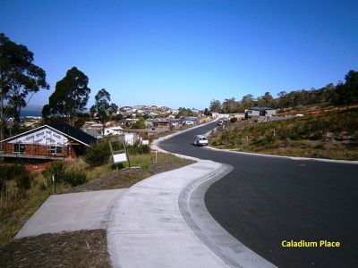 28 Caladium Place, Blackmans Bay