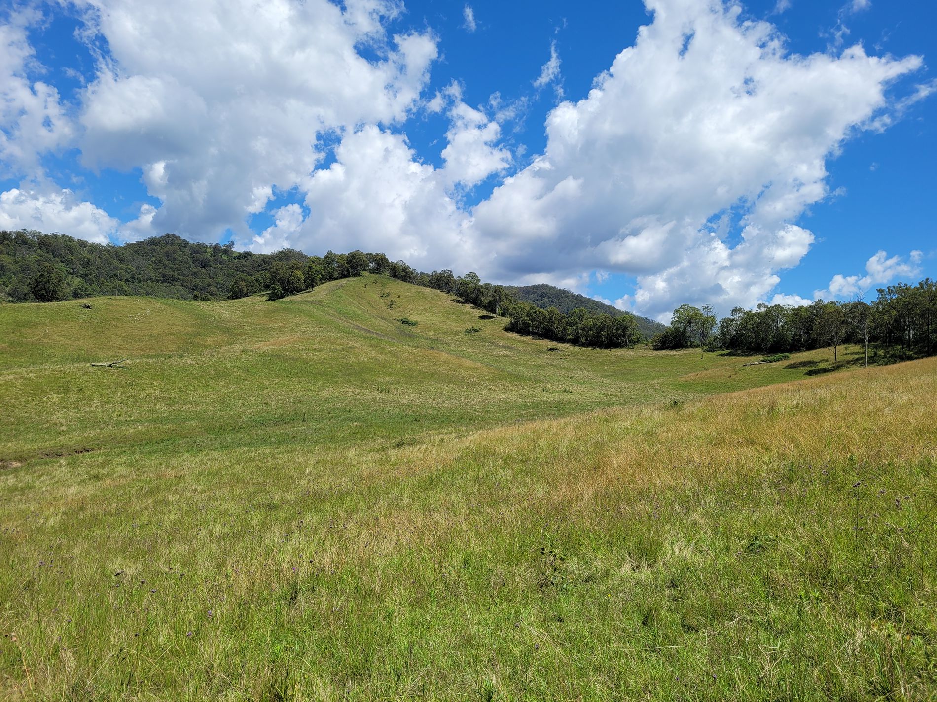 472 Neringla Road, Neringla