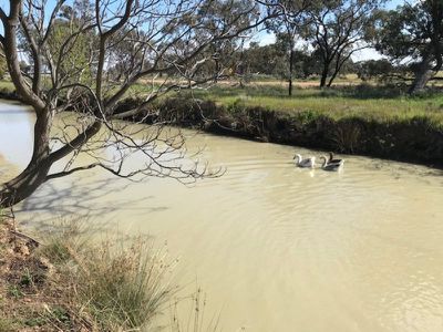 3935 Rangemore Road, Barham