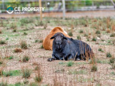 3 Pilmore Road, Murray Bridge