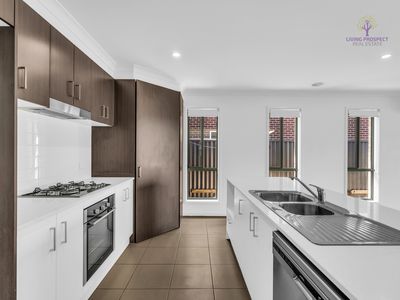 10 Coral Street, Cobblebank