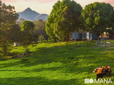 177 Mullumbimby Road, Myocum
