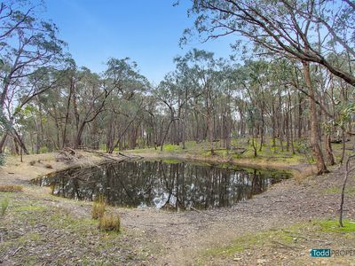 18 Back Kyneton Road, Heathcote