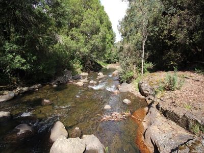 460 Crabtree Road, Crabtree