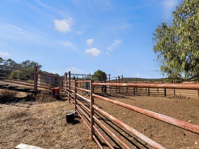 8681  Oxley Highway , Gunnedah