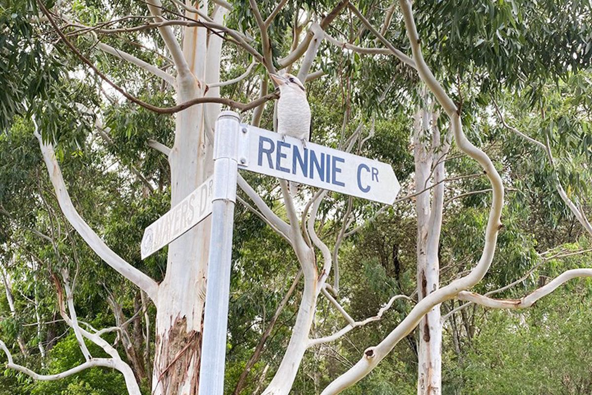14 Rennie Crescent, Tuncurry