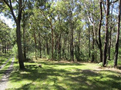 53 Biddulph Street, Eraring