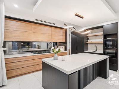 46 Goshawk Avenue, Marsden Park