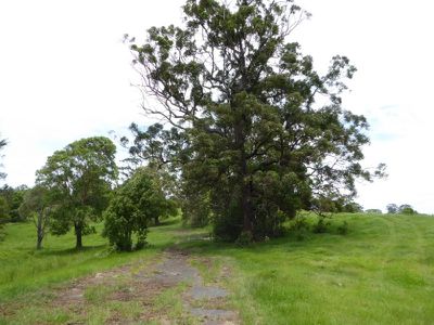 Lot 9 McAuleys Lane, Mullumbimby