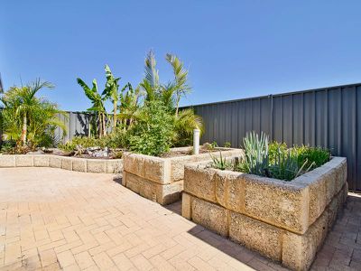 5 Diamondbird  , Baldivis