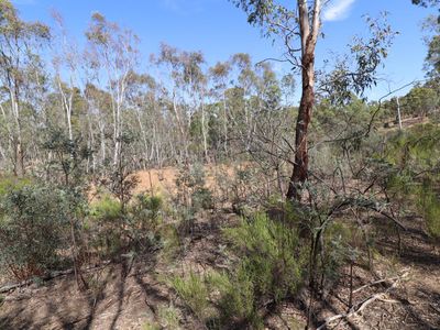56  Heenans Lane, Heathcote