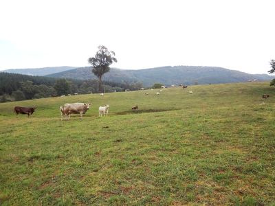 1281 Taradale Road, Taradale