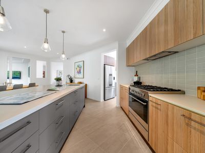4 Tallrush Street, Clyde North