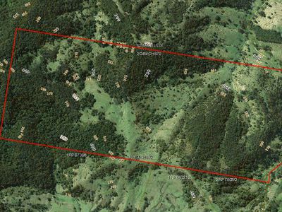 L204 Browns Road, Maleny