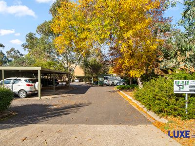 34 / 20 Oliver Street, Lyneham