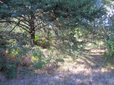 Lot 1 Lanes Road, Glen Huon