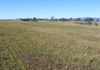 515 Peabody Road, Molong
