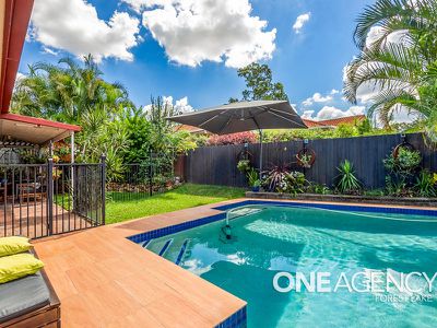 8 Teasel Crescent, Forest Lake
