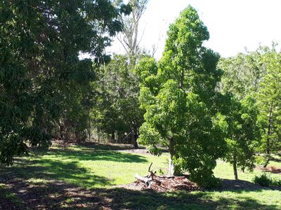 84 Tyree Road, Mount Julian