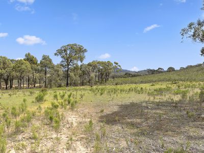 110 Bassett Lane, Hilldene