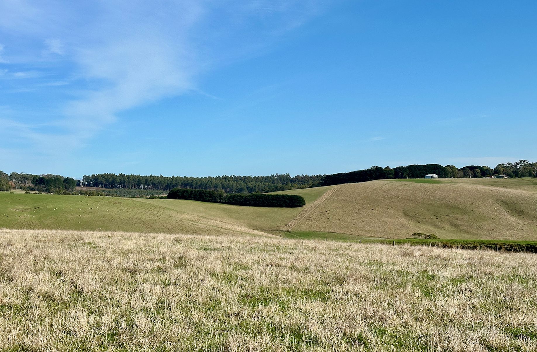 Fords Outlet Road, Deans Marsh