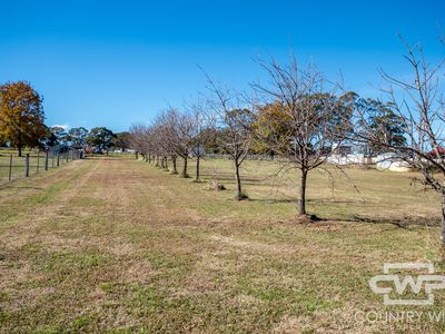 28 Carlisle Close, Glen Innes