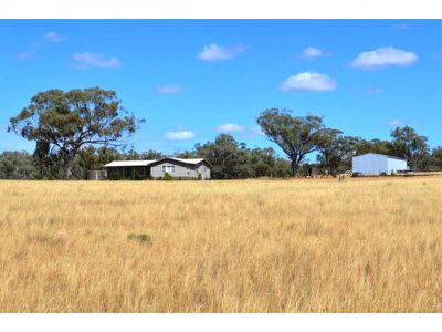 1172 Wandobah Road, Gunnedah