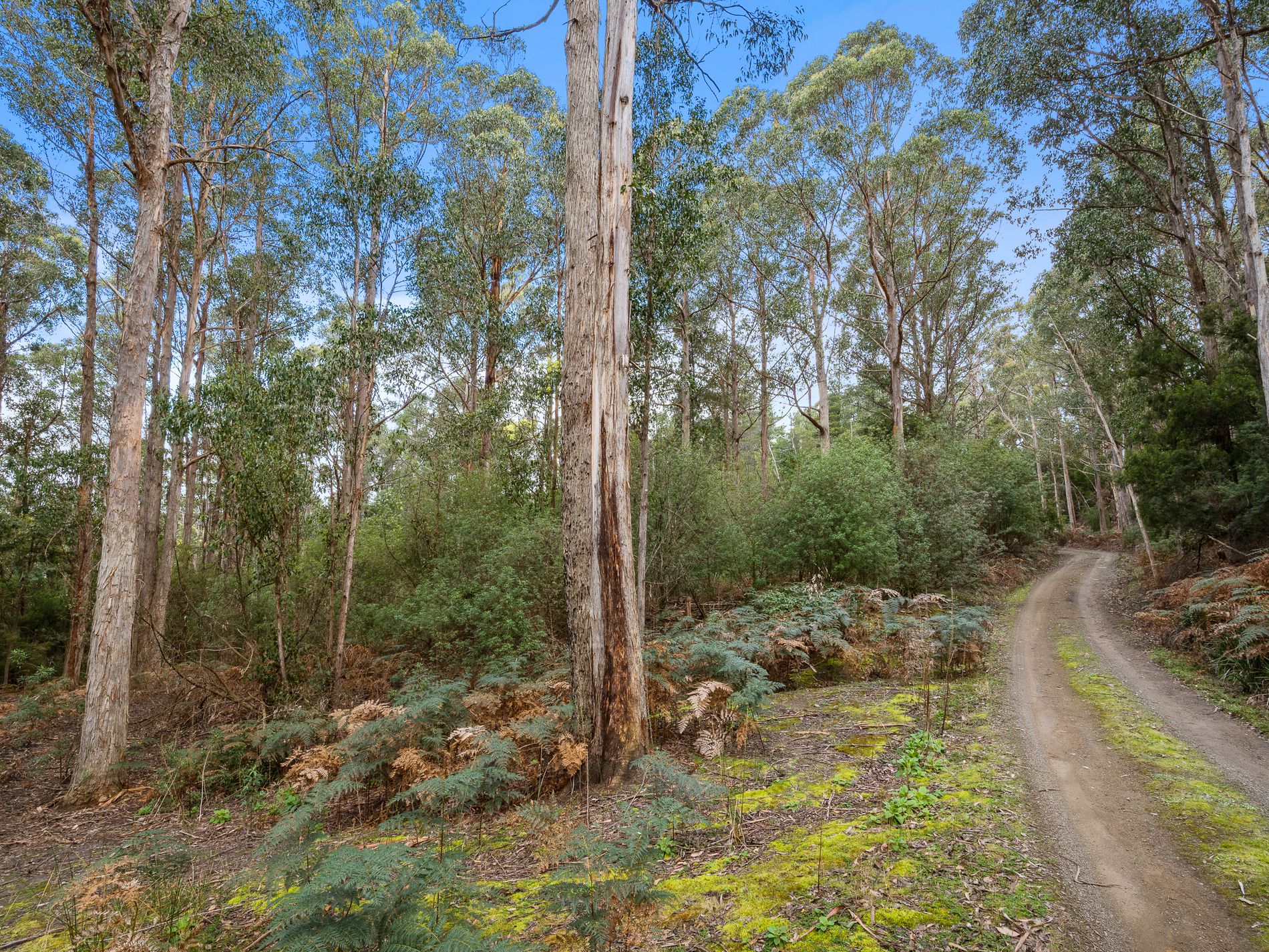 39 Coxs Road, Middleton
